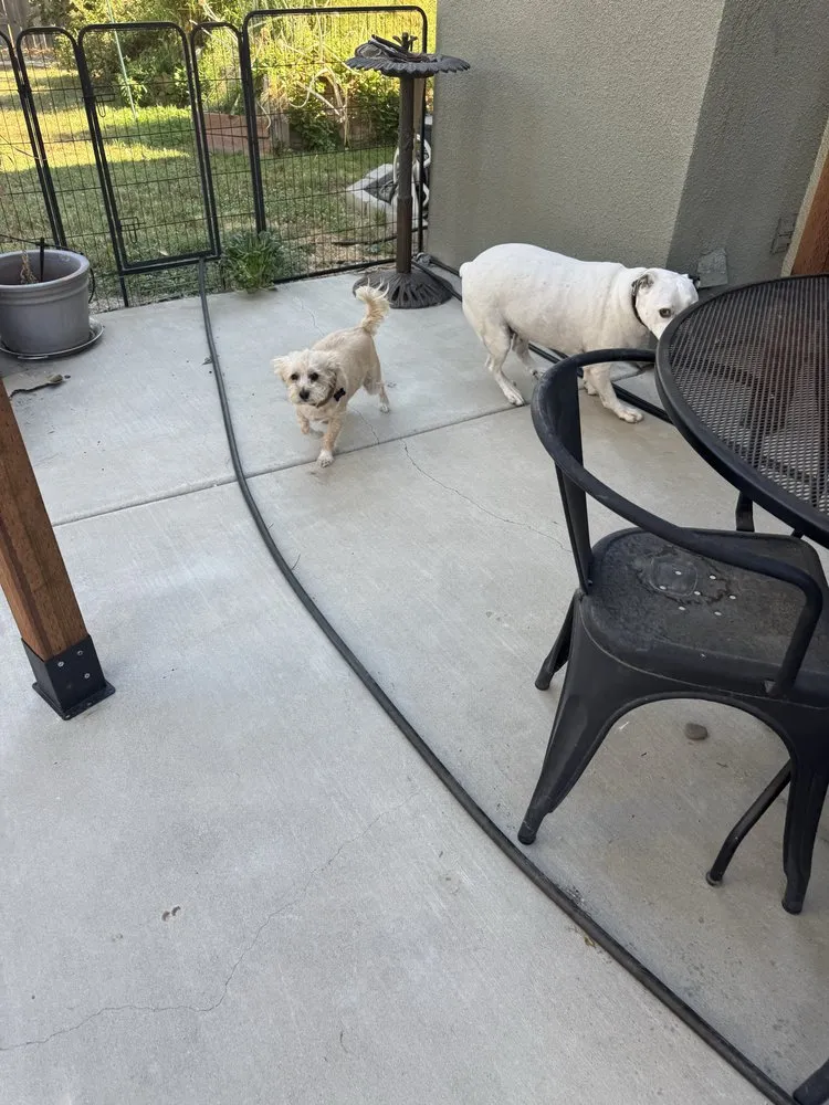 Professional outdoor landscaping in Sacramento, CA - BAAM Poop Be Gone