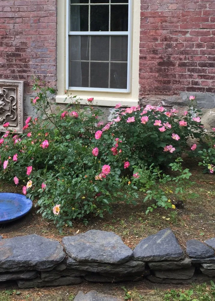 Local landscaping services for residential properties across Nassau, NY - Babaraba, Ltd