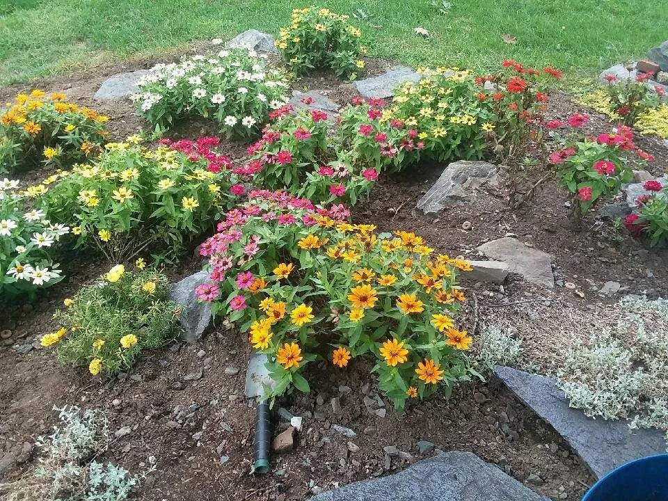 Affordable landscape installation experts serving Nassau, NY - Babaraba, Ltd