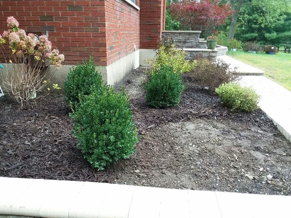 Top-rated landscaping services in Nassau, NY - Babaraba, Ltd