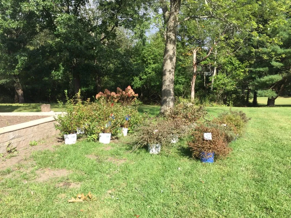 Affordable lawn care service in Nassau, NY by Babaraba, Ltd