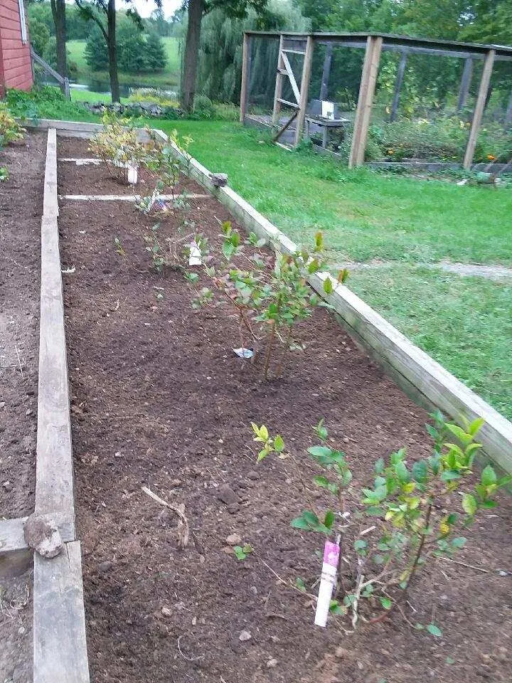 Reliable yard maintenance in Nassau, NY - Babaraba, Ltd