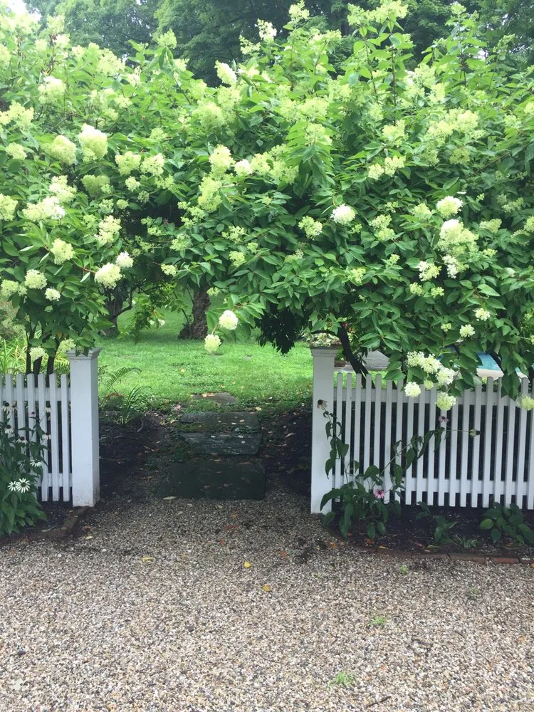 Top-rated yard cleanup service experts serving Nassau, NY - Babaraba, Ltd