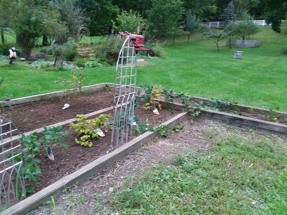 Expert lawn mowing service with custom design across Nassau, NY - Babaraba, Ltd