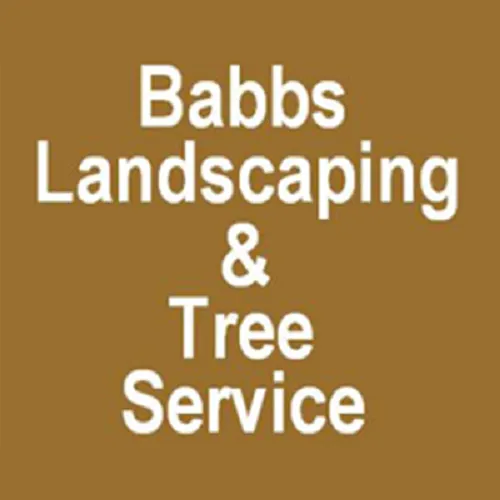 Professional landscape installation in Roselle, IL by Babbs Landscaping & Tree Service