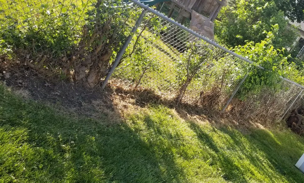 Expert landscape installation for homes in Roselle, IL by Babbs Landscaping & Tree Service