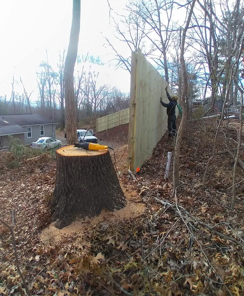 Professional landscape design for outdoor upgrades across Candler, NC - Babcat Fence and Deck