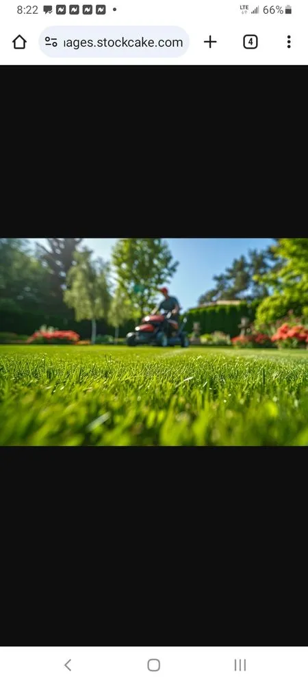Custom lawn care service for year-round maintenance in Myrtle Beach, SC by BaberBoys Landscaping