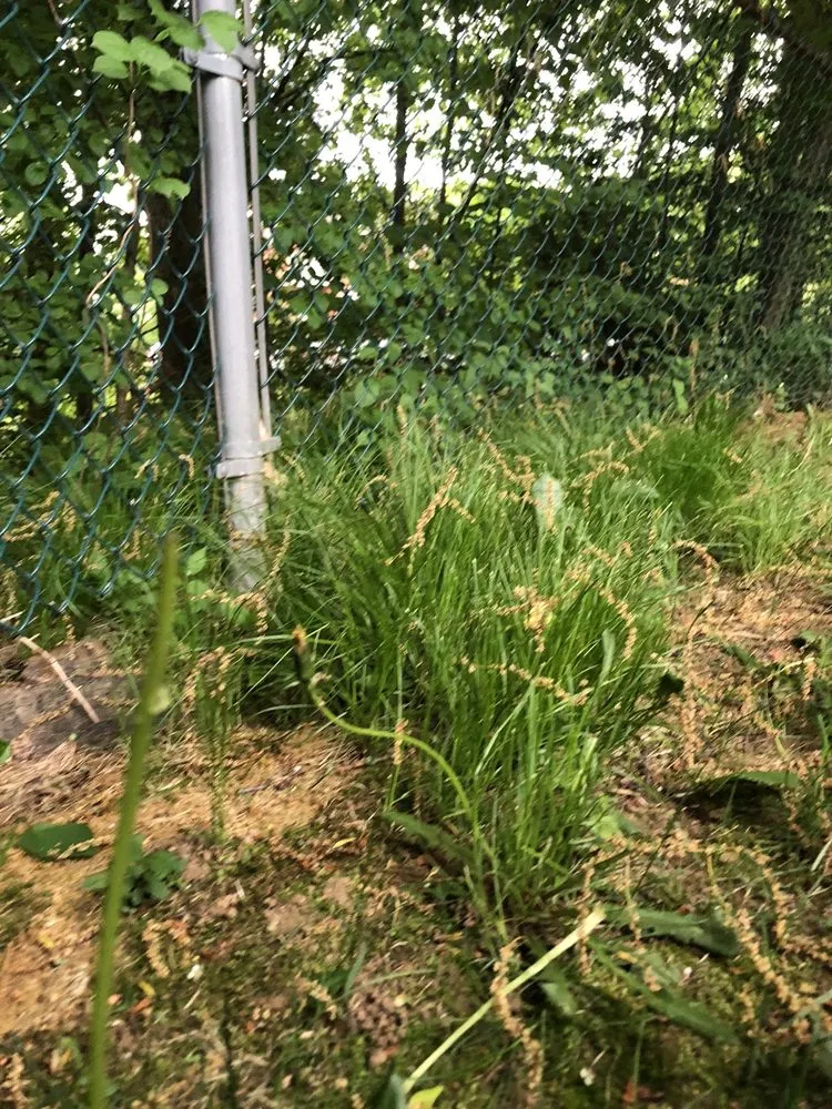 Reliable yard maintenance experts serving Brimfield, MA - Babe's Lawn Care