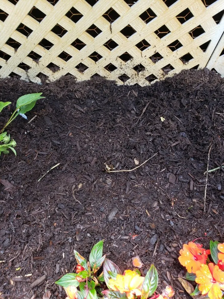 Top-rated residential landscaping experts serving Brimfield, MA - Babe's Lawn Care