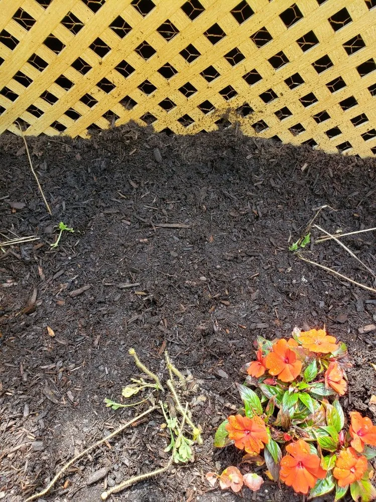 Local landscape installation in Brimfield, MA - Babe's Lawn Care