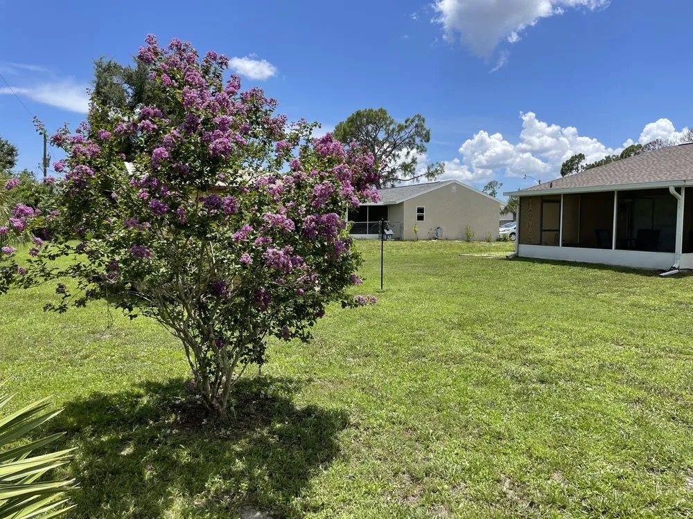 Reliable lawn mowing service for outdoor upgrades in Murdock, FL by Babins Lawn Service