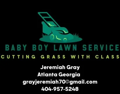 Expert outdoor landscaping experts serving Conley, GA - Baby Boy Lawn Service