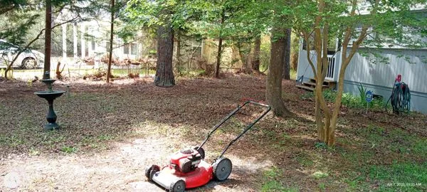 Baby Squirrel's Lawncare Logo