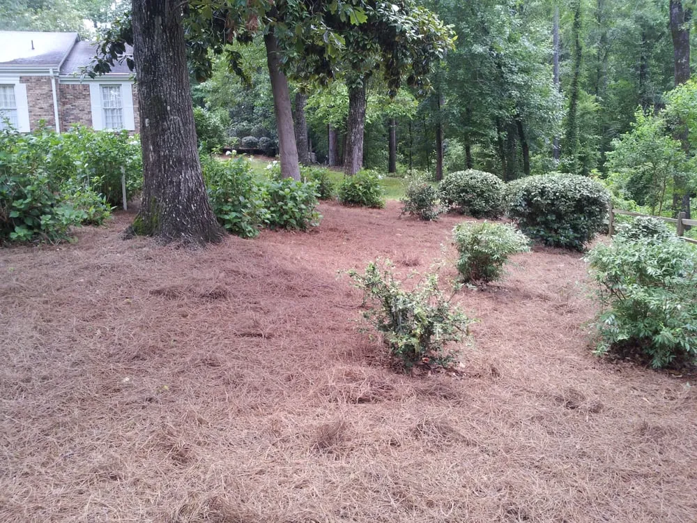 Expert landscape design in Pelham, AL by Baca Lanscape