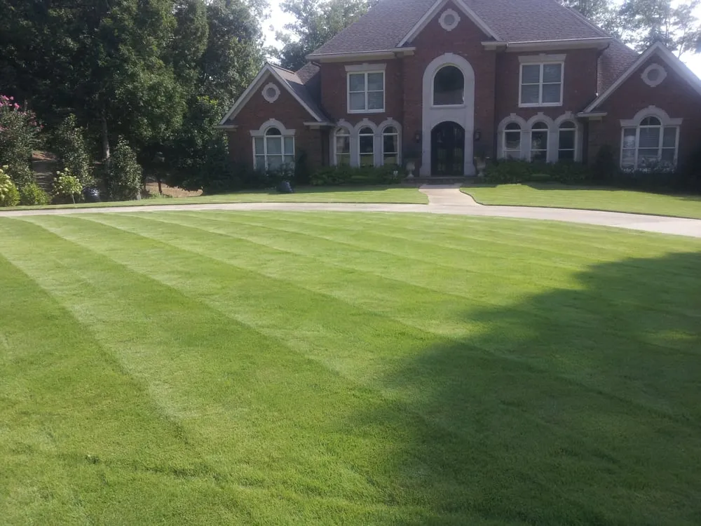 Expert lawn care service experts serving Pelham, AL - Baca Lanscape