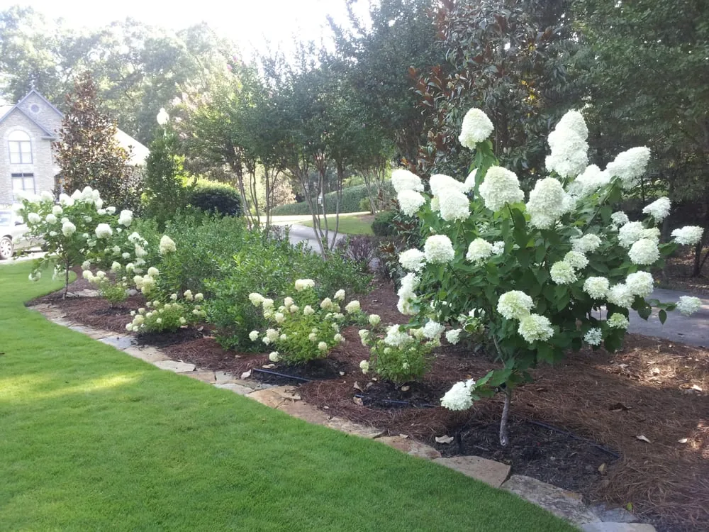 Expert garden landscaping in Pelham, AL by Baca Lanscape