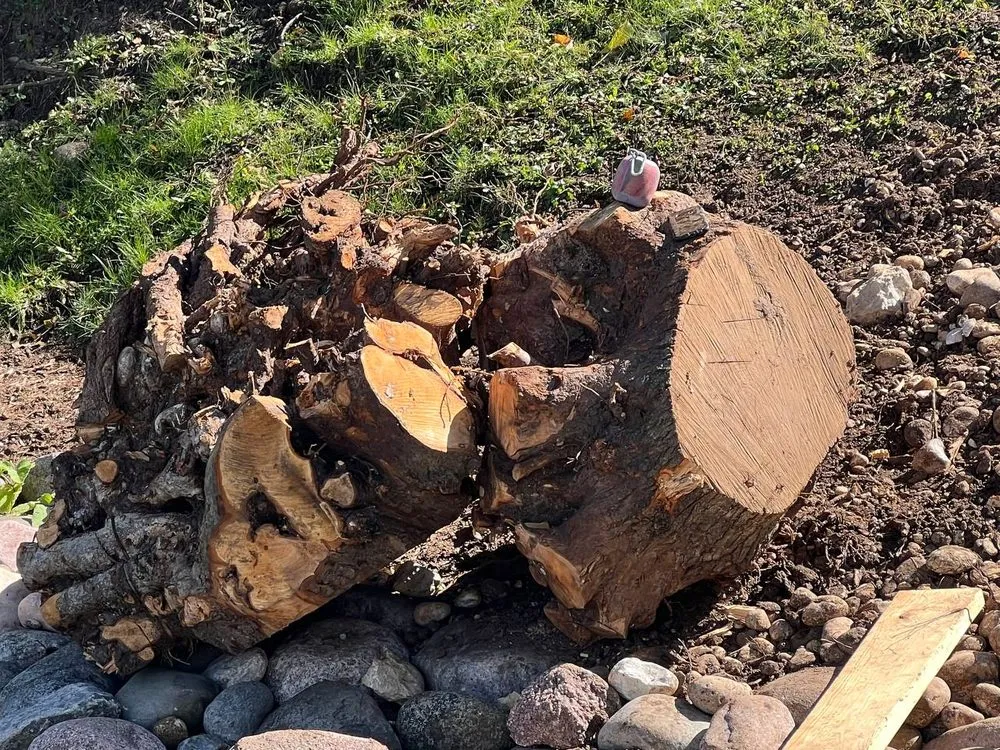 Top-rated landscape installation in Oconomowoc, WI by Bachmeier Custom Lawn Care