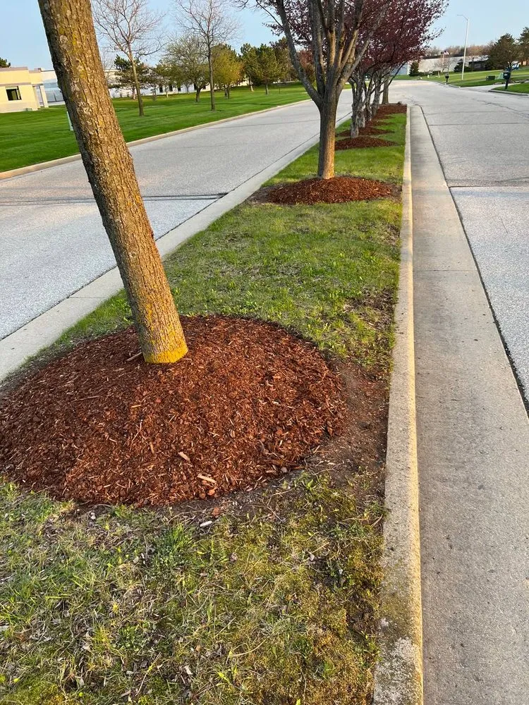 Trusted yard cleanup service in Oconomowoc, WI by Bachmeier Custom Lawn Care