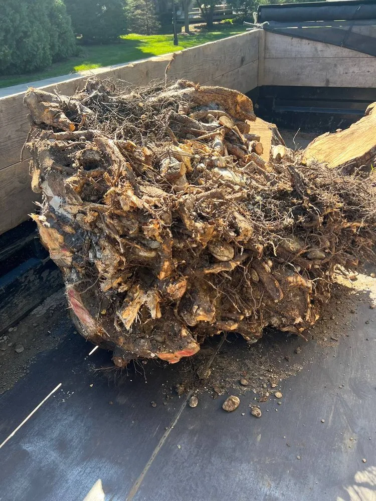 Local landscape installation experts serving Oconomowoc, WI - Bachmeier Custom Lawn Care