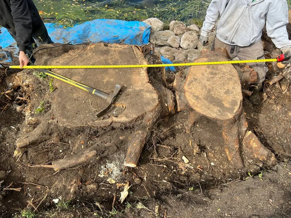 Expert landscape design for beautiful yards across Oconomowoc, WI - Bachmeier Custom Lawn Care