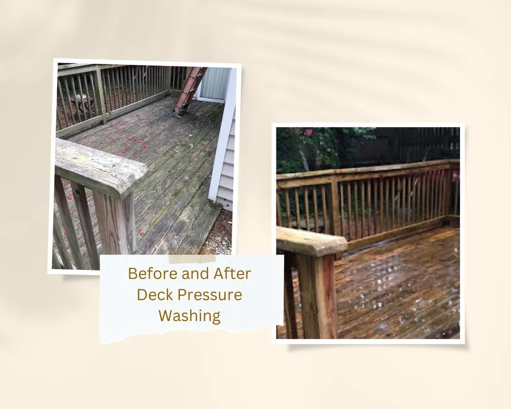 Top-rated lawn care service in Virginia Beach, VA - Back 2 Basics