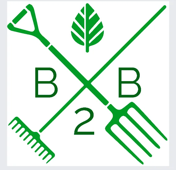 Trusted lawn mowing service for outdoor upgrades in Virginia Beach, VA by Back 2 Basics