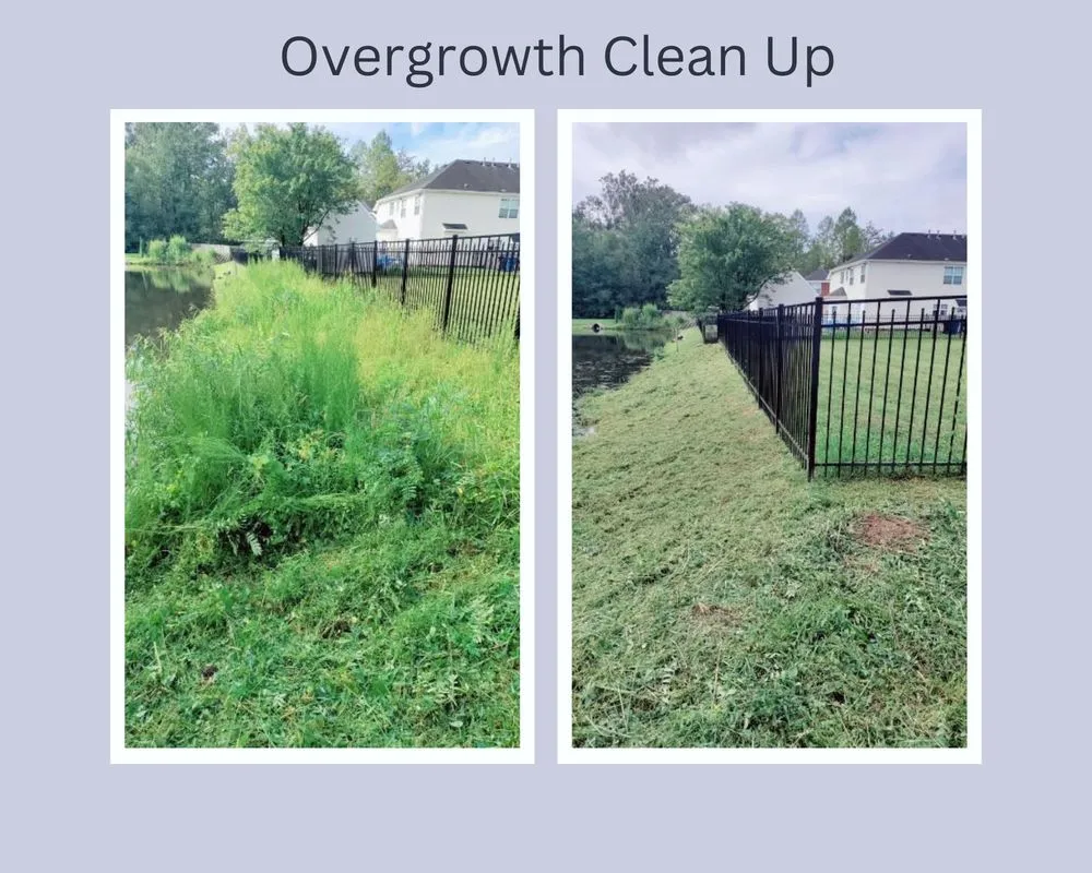 Professional garden landscaping in Virginia Beach, VA - Back 2 Basics