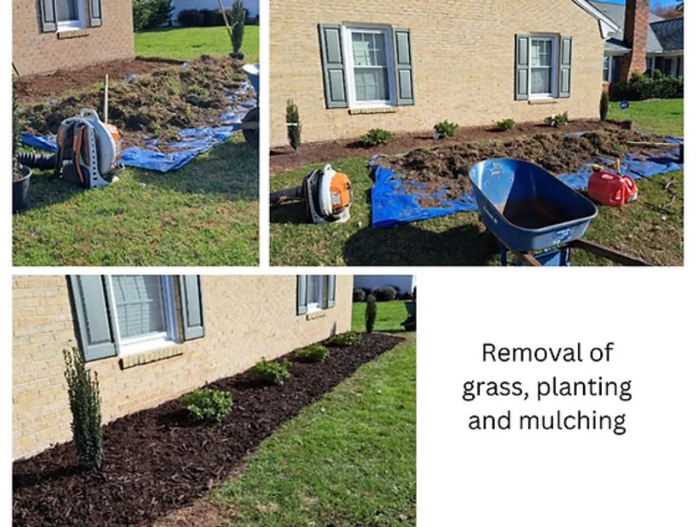 Local garden landscaping in Virginia Beach, VA by Back 2 Basics