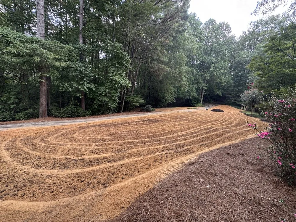 Trusted lawn care service for residential properties across Gainesville, GA - Back 2 Eden