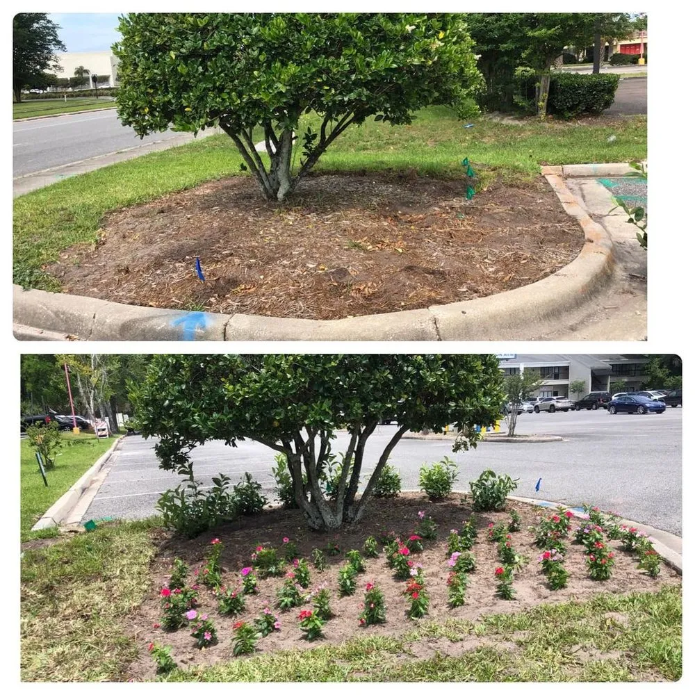 Trusted residential landscaping with custom design in Jacksonville, FL by Back 2 Life Property Management Solutions