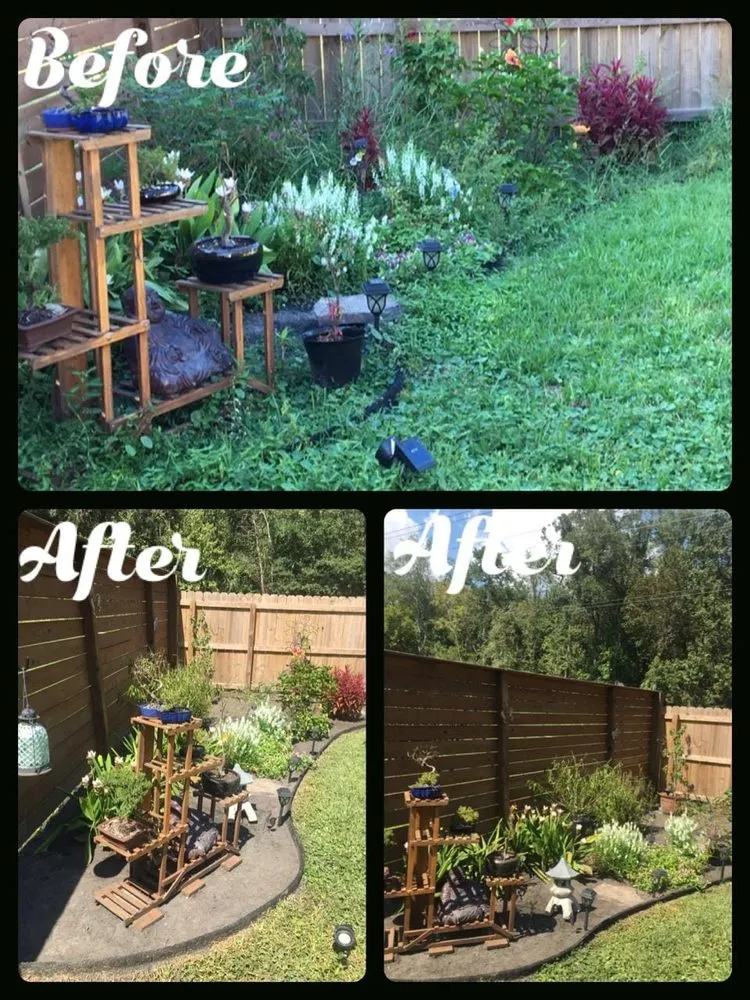 Top-rated yard cleanup service in Jacksonville, FL by Back 2 Life Property Management Solutions