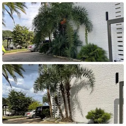 Affordable outdoor landscaping in Jacksonville, FL - Back 2 Life Property Management Solutions