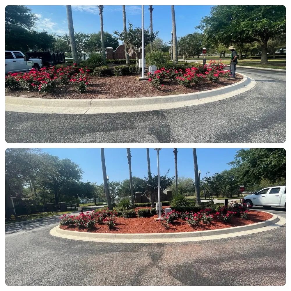 Reliable lawn care service in Jacksonville, FL by Back 2 Life Property Management Solutions