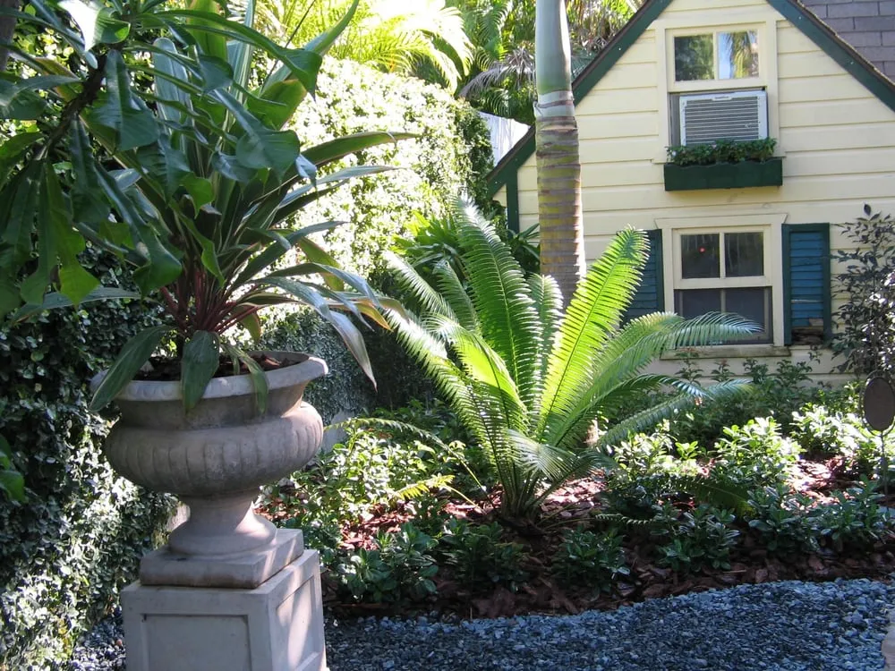 Expert residential landscaping in Miami, FL - Back 2 Nature Landscape Design