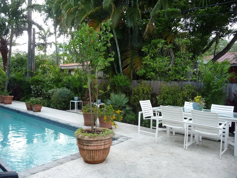 Affordable yard maintenance experts serving Miami, FL - Back 2 Nature Landscape Design