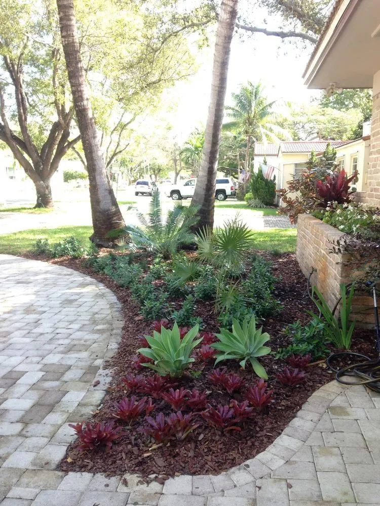 Reliable lawn mowing service experts serving Miami, FL - Back 2 Nature Landscape Design