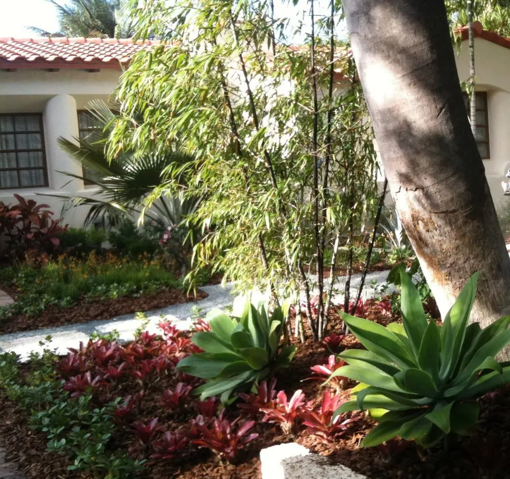 Custom outdoor landscaping near you in Miami, FL by Back 2 Nature Landscape Design