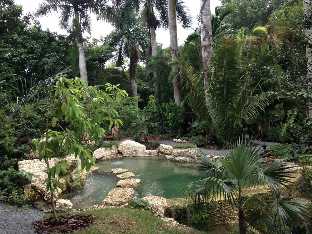 Professional yard cleanup service experts serving Miami, FL - Back 2 Nature Landscape Design