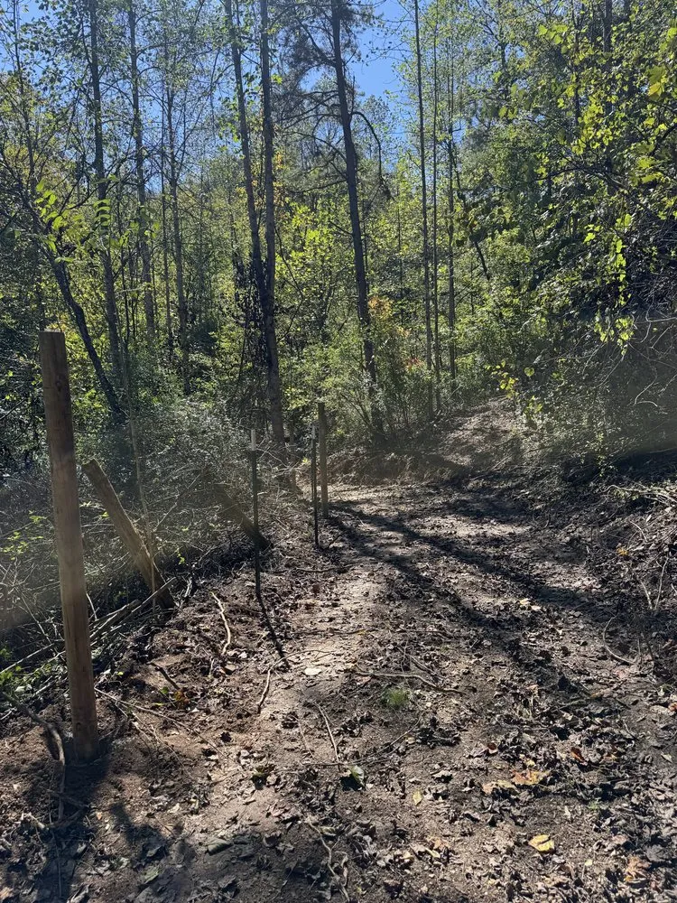 Professional outdoor landscaping for homes across Liberty, KY - Back 40 Builds & Landscape