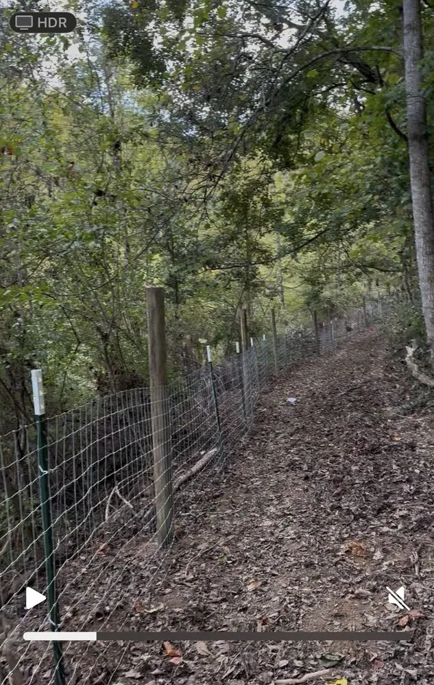 Top-rated residential landscaping in Liberty, KY - Back 40 Builds & Landscape