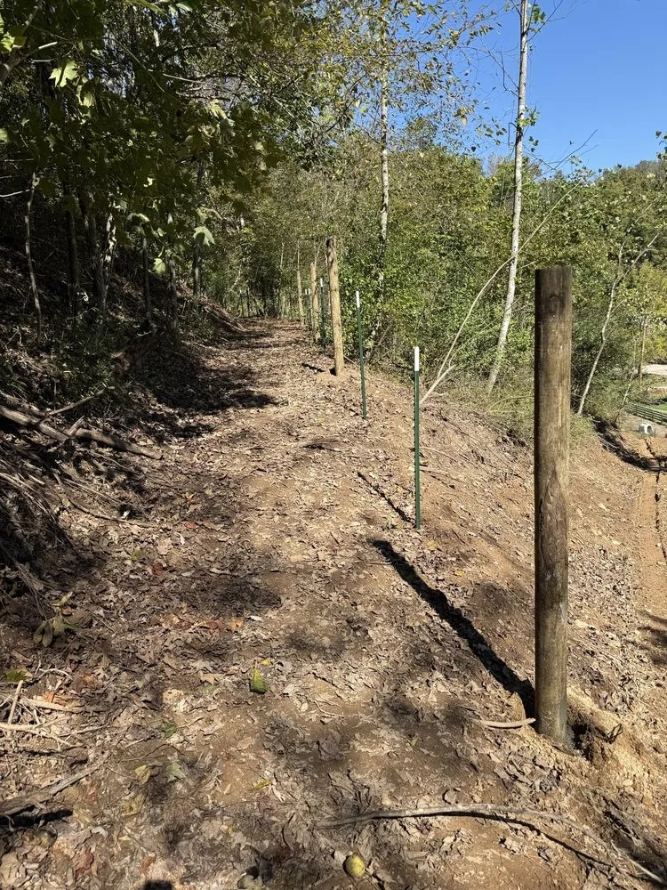 Custom outdoor landscaping in Liberty, KY by Back 40 Builds & Landscape