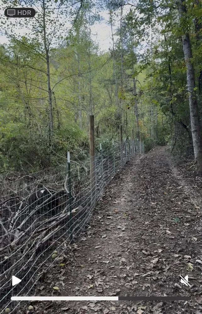 Trusted lawn mowing service in Liberty, KY by Back 40 Builds & Landscape