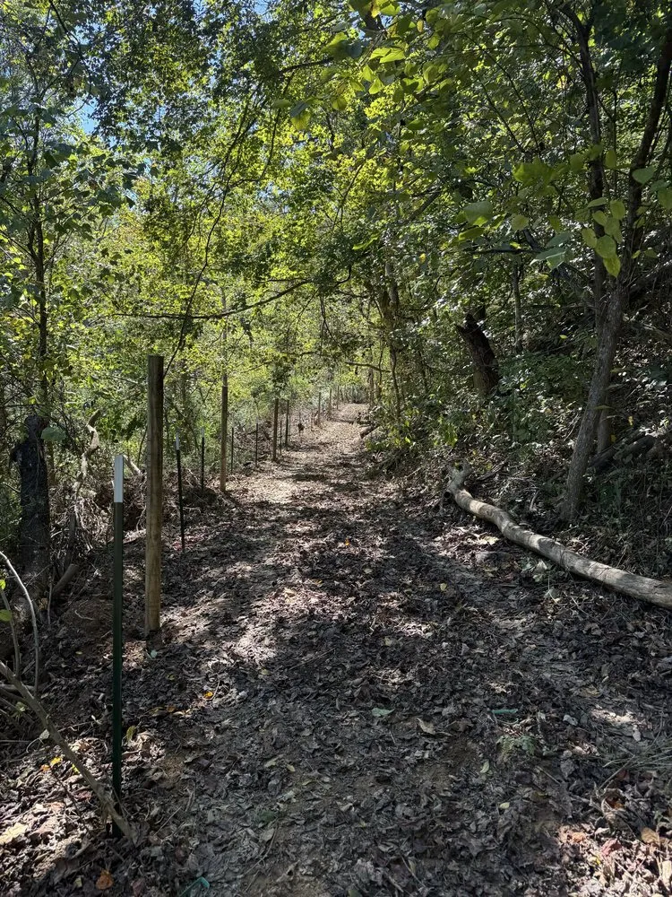 Local landscaping services for residential properties in Liberty, KY by Back 40 Builds & Landscape