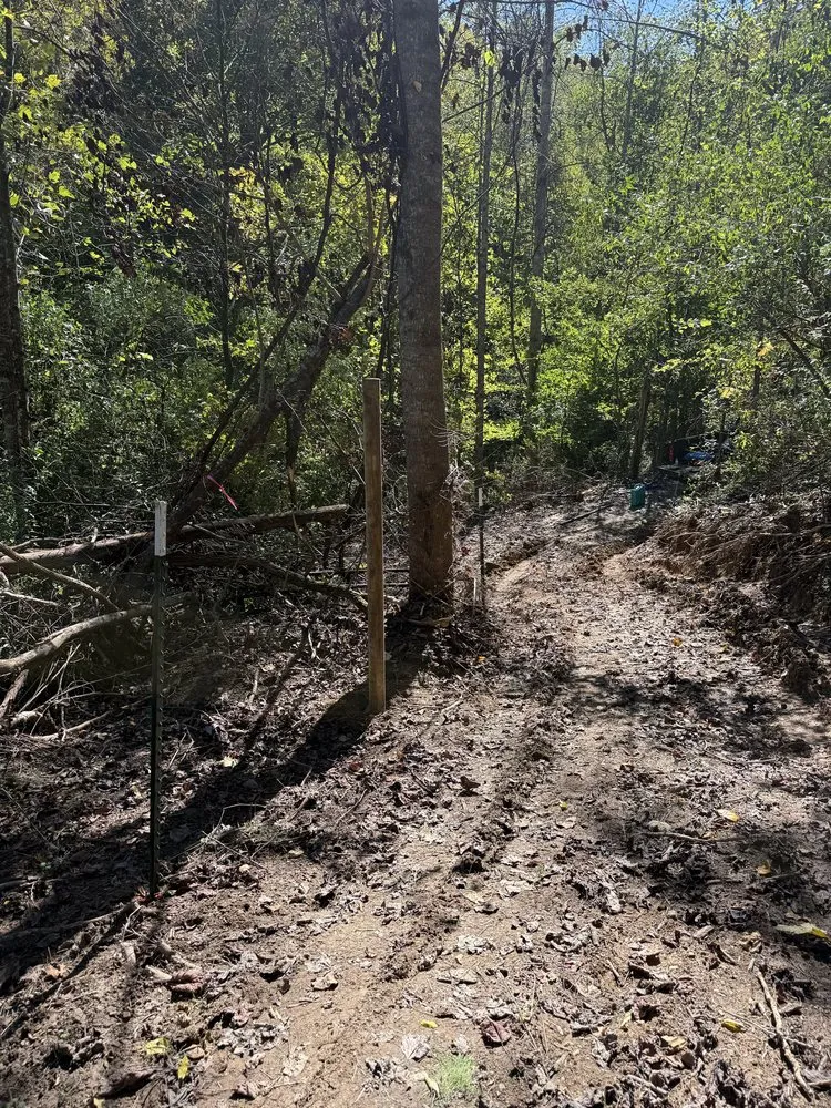 Affordable yard maintenance experts serving Liberty, KY - Back 40 Builds & Landscape