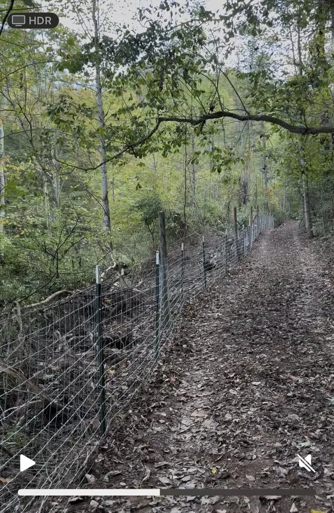 Top-rated outdoor landscaping for residential properties in Liberty, KY by Back 40 Builds & Landscape