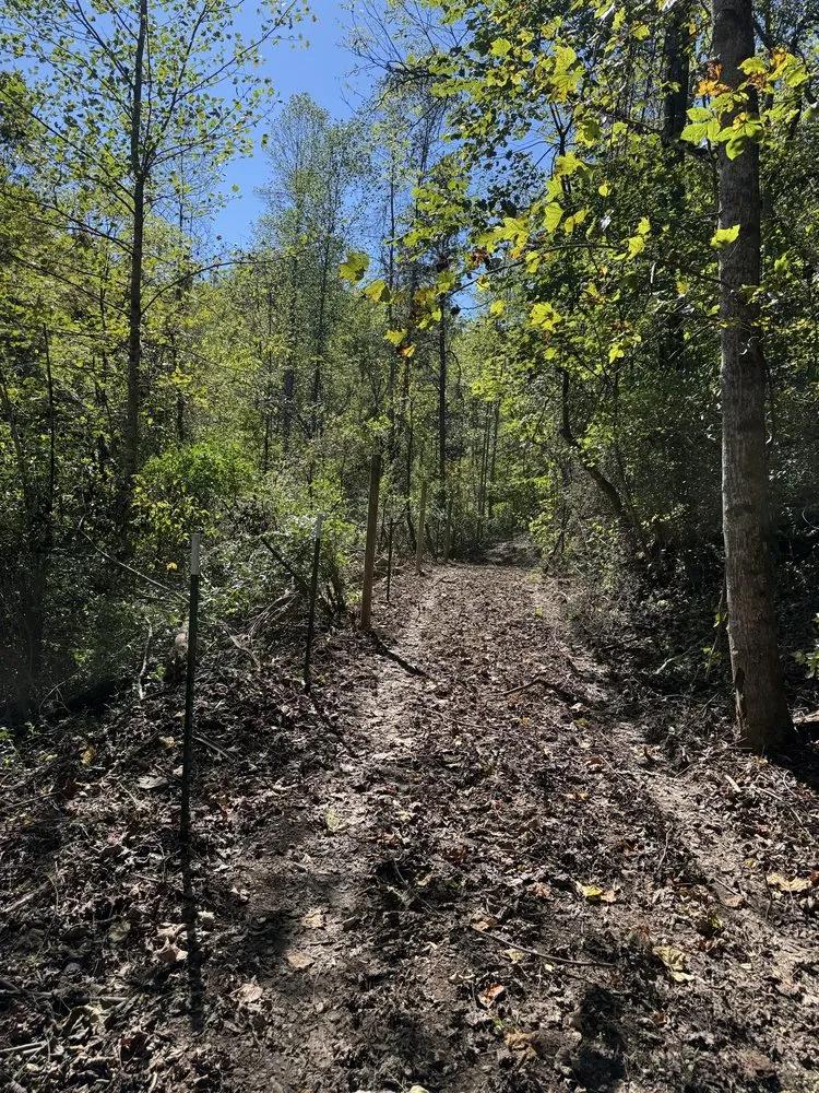 Top-rated landscaping services in Liberty, KY - Back 40 Builds & Landscape