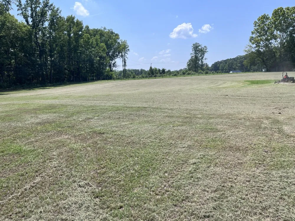 Professional lawn care service experts serving Ashland, VA - Back 40 Custom Landscapes