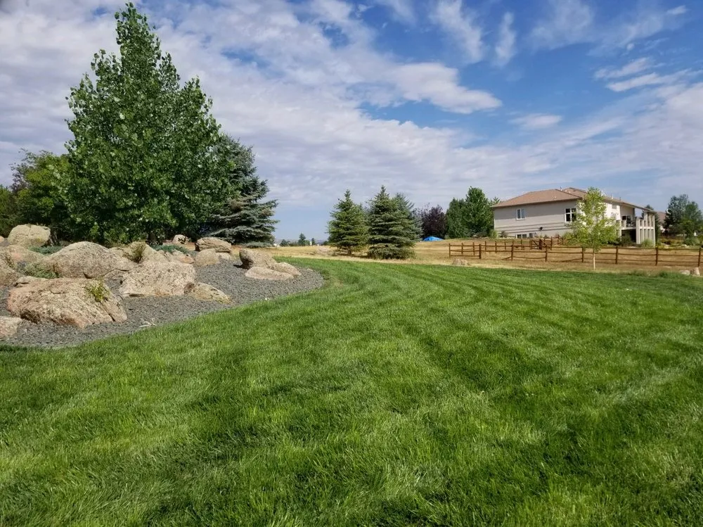 Custom yard cleanup service in Eaton, CO - Back 40 Land Management