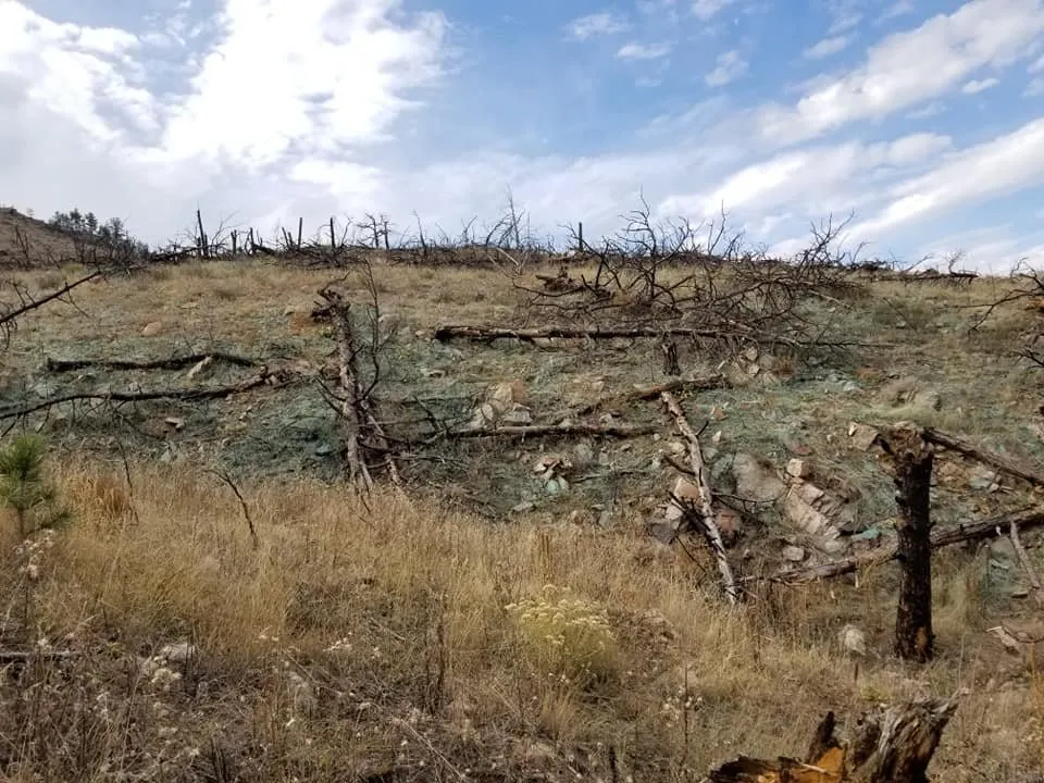 Custom garden landscaping for outdoor upgrades in Eaton, CO by Back 40 Land Management